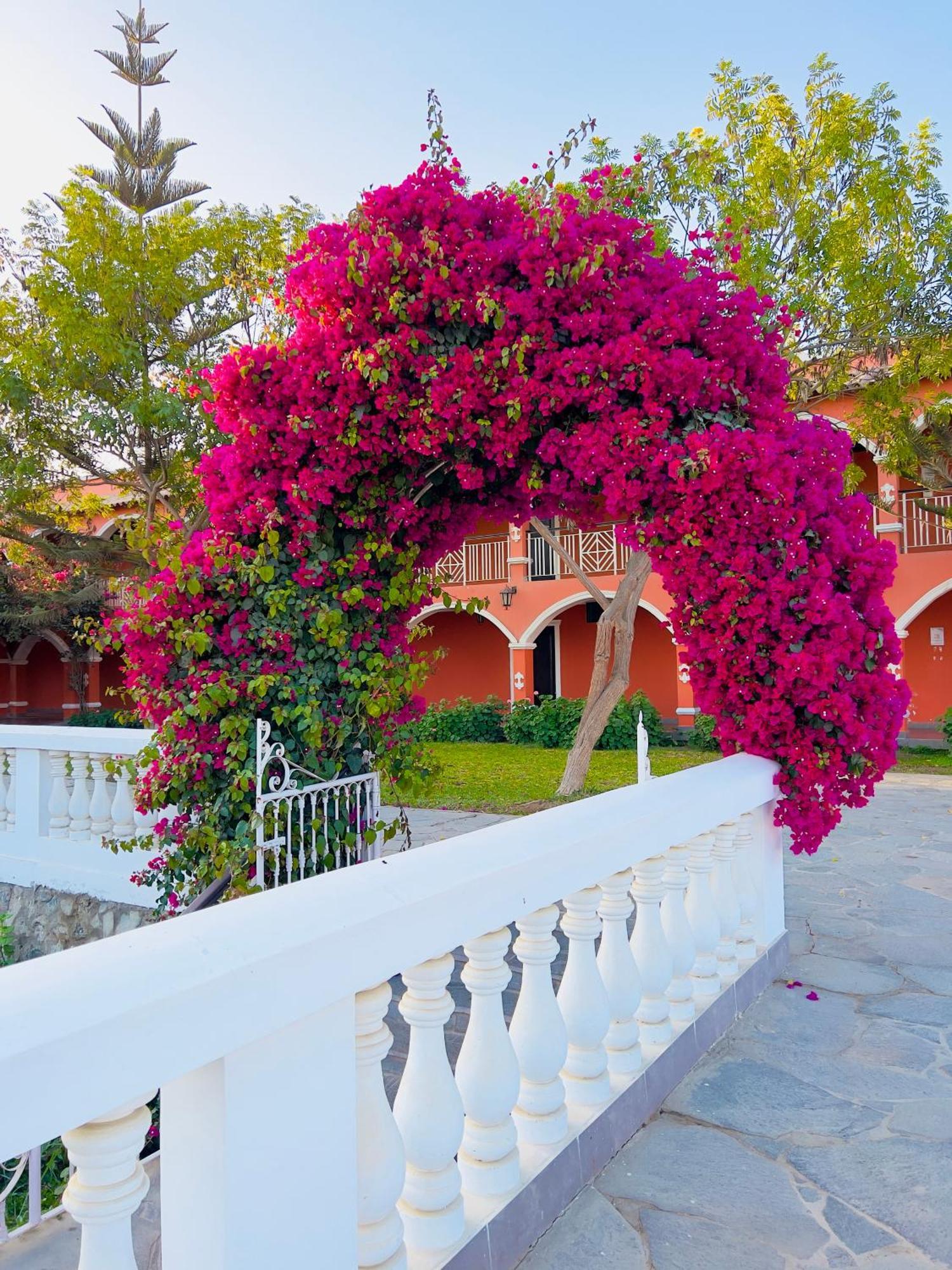 Hacienda San Juan Resort San Juan Bautista Экстерьер фото